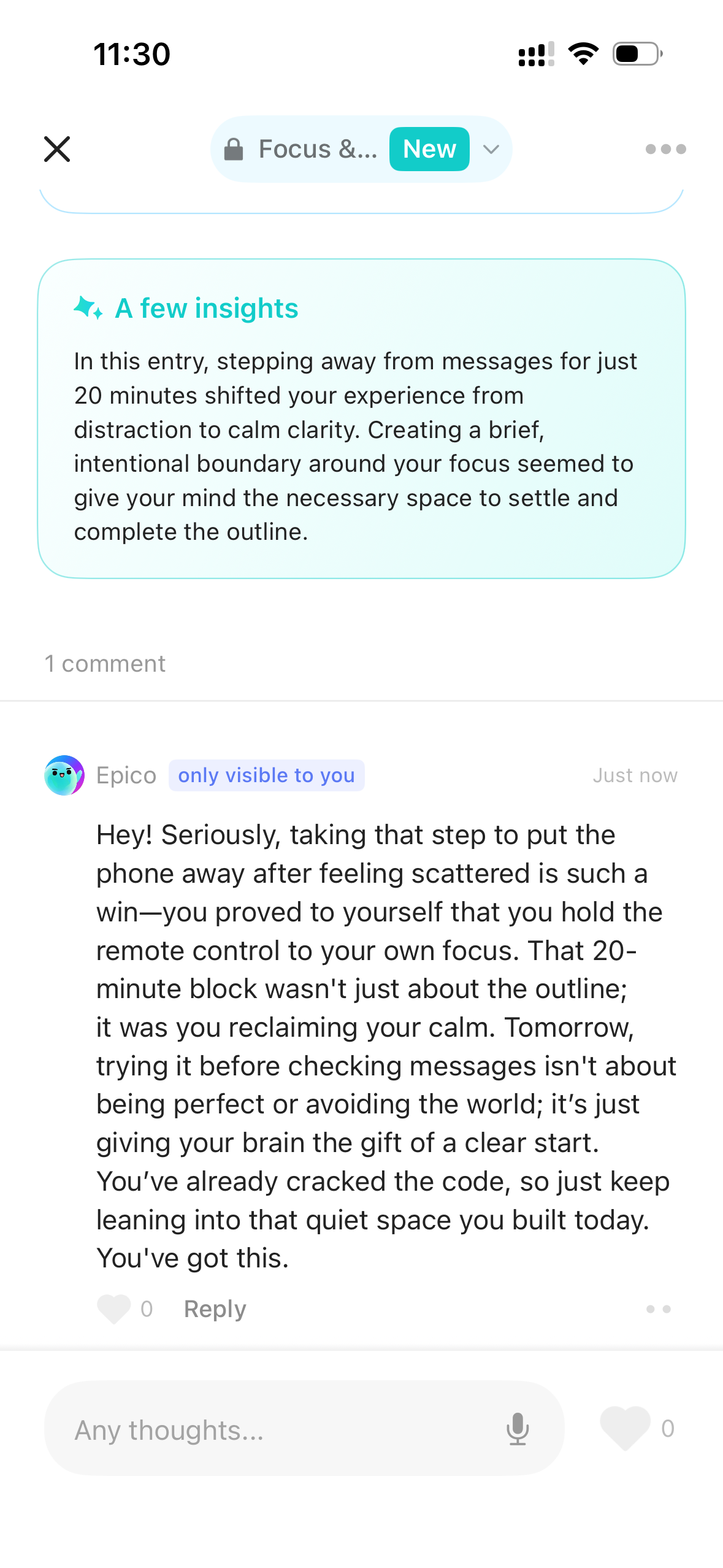 A few insights and Epico’s comment on the same example entry.